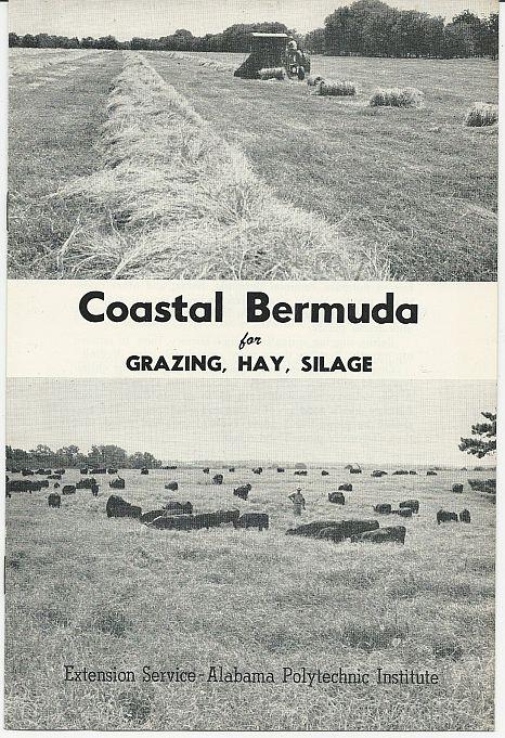 Image for COASTAL BERMUDA FOR GRAZING, HAY, SILAGE